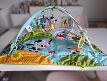Speelmat Tiny Love inclusief accessoires beschikbaar voor biedingen