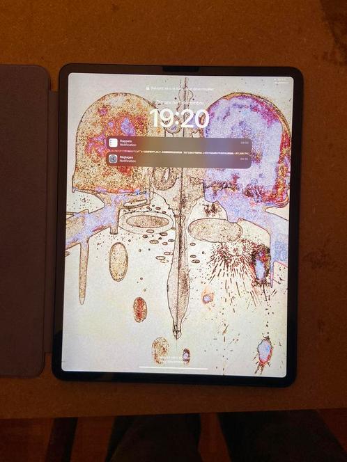 IPAD PRO 12.9p. 512 g. + potlood + hoes, Computers en Software, Apple iPads, Gebruikt, Apple iPad Pro, Wi-Fi, 13 inch of meer