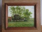 Piaam "Nynke's Pleats " Friesland door Lucien Boschmans, Ophalen of Verzenden