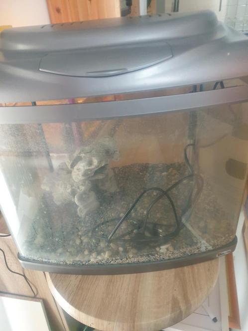 Te koop wegens verhuizing !!, Dieren en Toebehoren, Vissen | Aquaria en Toebehoren, Gebruikt, Grind, Zand of Voedingsbodem, Ophalen