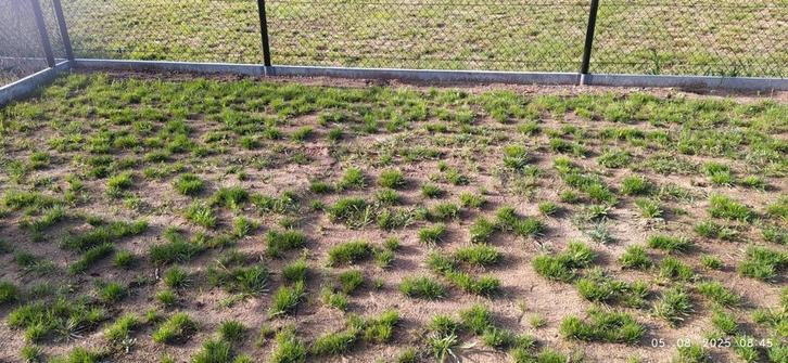 Gratis Opvulgrond, Tuin en Terras, Gras en Kunstgras, Zo goed als nieuw, Ophalen