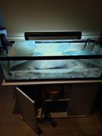 Vivarium+tout les accessoires qui va avec, Dieren en Toebehoren, Ophalen, Gebruikt, Leeg aquarium