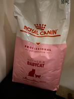 Croquettes royale canin Babycat, Animaux & Accessoires, Nourriture pour Animaux, Enlèvement, Chat