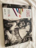 Kleurpotloden van Conté à paris, Hobby & Loisirs créatifs, Dessin, Enlèvement ou Envoi, Comme neuf