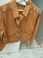 vest medium nieuw, Kleding | Dames, Ophalen, Nieuw