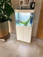 Juwel lido 120, Dieren en Toebehoren, Ophalen, Gebruikt