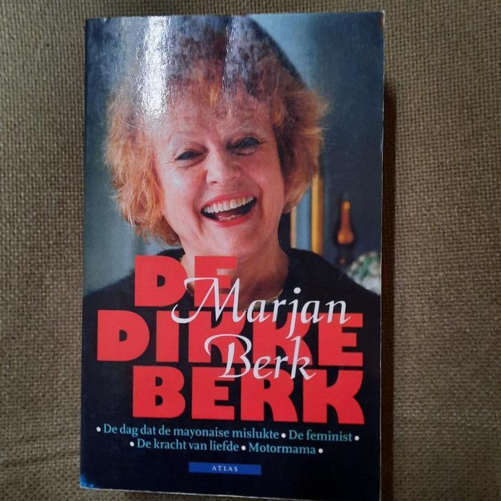DIKKE BERK - MARJAN BERK -  4 verhalen, Boeken, Romans, Ophalen of Verzenden