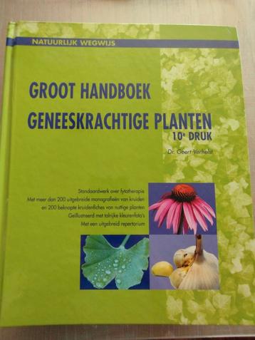 Geert Verhelst - Groot Handboek Geneeskrachtige Planten