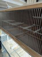 Kweekooi voor kanaries, Dieren en Toebehoren