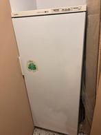 Siemens Diepvries staand, Electroménager, Congélateurs, Congélateur, 160 cm ou plus, Enlèvement, Utilisé