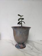 vintage bloempot, Huis en Inrichting, Ophalen of Verzenden, Zo goed als nieuw, Blauw, Aardewerk of Porselein