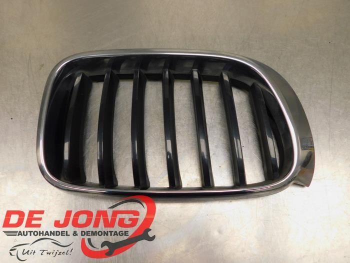 Grille van een BMW X3, Auto-onderdelen, Carrosserie, BMW, Gebruikt, 3 maanden garantie, Ophalen of Verzenden