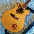 Guitare électro acoustique, Muziek en Instrumenten, Snaarinstrumenten | Gitaren | Akoestisch, Ophalen of Verzenden