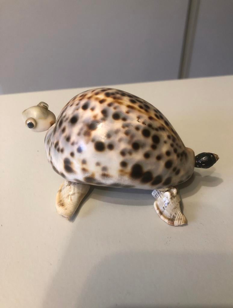 Tortue collection en coquillages, Collections, Enlèvement ou Envoi, Comme neuf