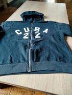 vest l heren, Ophalen of Verzenden, Zo goed als nieuw, Blauw