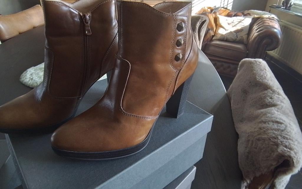 Nero giardini dameslaars, Enlèvement