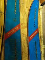 antieke waterskies voor mancave, Antiek en Kunst, Ophalen