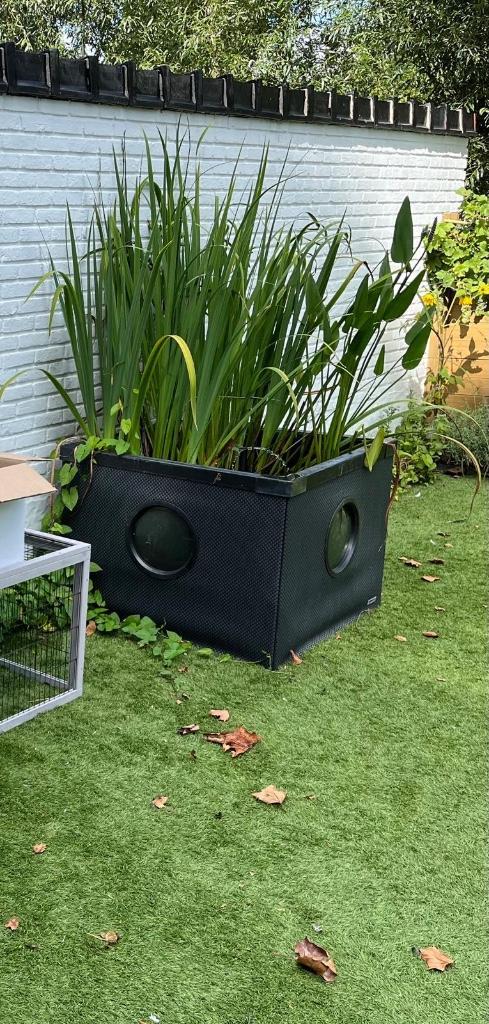 Hozelock buitenaquarium/ terrasvijver zwart/ antraciet, Jardin & Terrasse, Accessoires pour étangs, Utilisé, Plateau d'étang, Enlèvement