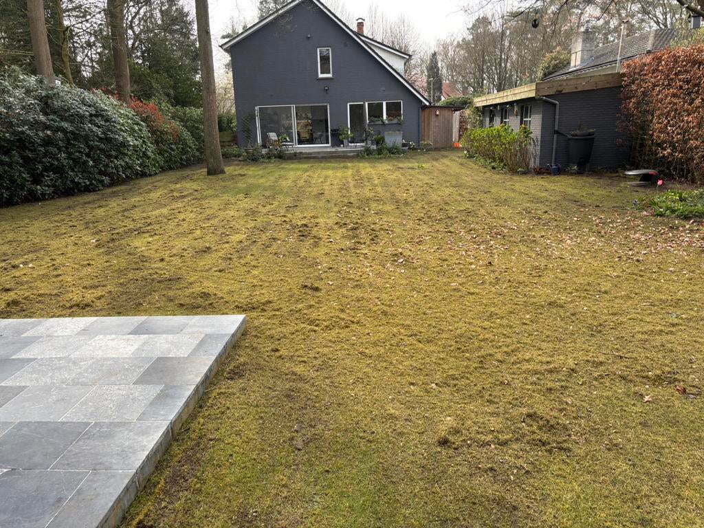 Verticuteren, Inzaaien & Bemesten van uw Gazon, Ophalen of Verzenden, Overige typen