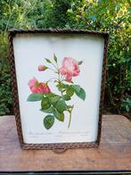 Vintage dienblad met botanische prent rozen van Redouté, Ophalen of Verzenden, Rechthoekig