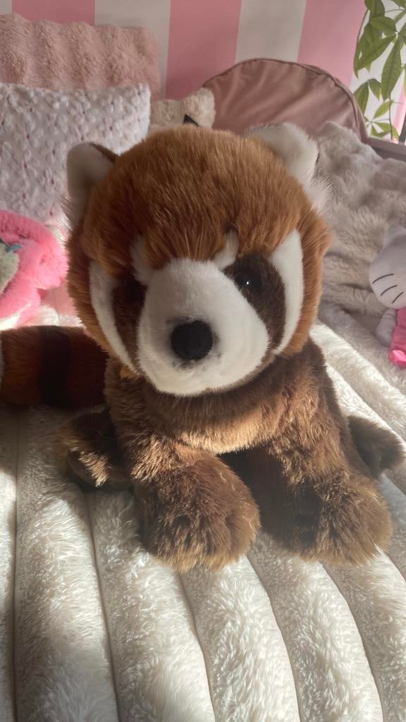 Grote knuffeltje, Kinderen en Baby's, Speelgoed | Knuffels en Pluche, Ophalen, Nieuw