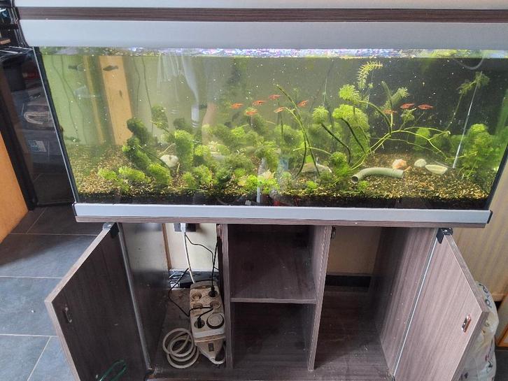 Aquarium, Dieren en Toebehoren, Vissen | Aquaria en Toebehoren, Gebruikt, Ophalen