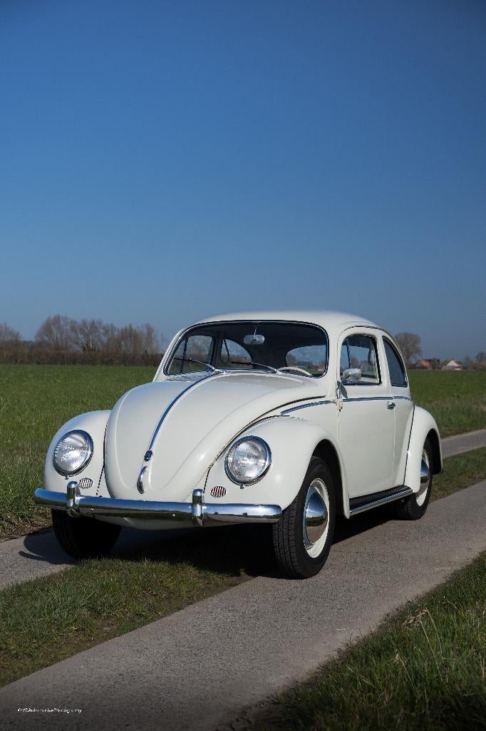 Vw kever 1200 bwj 1959 perfecte staat, gekeurd + garantie, 4 zetels, Achterwielaandrijving, 4 cilinders, Wit