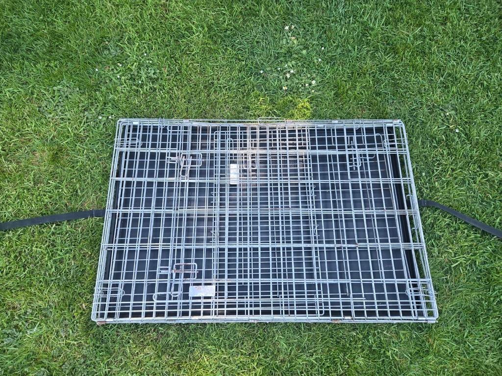 Cage de transport pour chien, Animaux & Accessoires