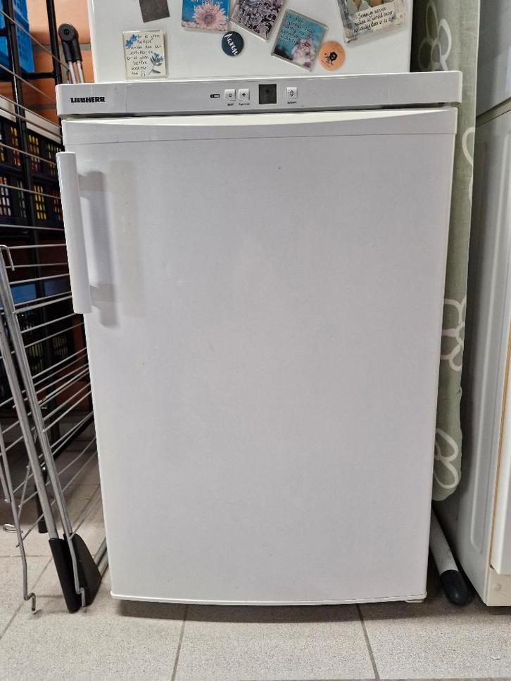 Diepvries Liebherr, Electroménager, Congélateurs, Utilisé, Autoportant, Congélateur, Congélateur, 85 à 120 cm, Moins de 60 cm