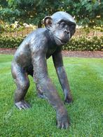 BRONZEN ZEER MOOIE CHIMPANSEE AN SPOTPRIJS 1300 IPV 2287 !!!, Antiek en Kunst, Ophalen of Verzenden