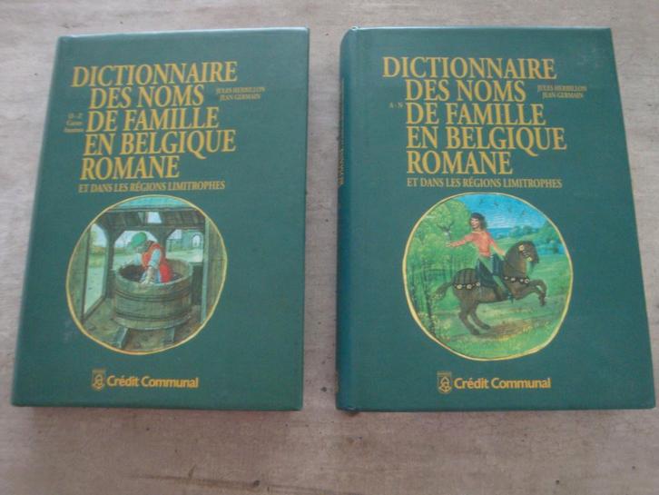 DICTIONNAIRE DES NOMS DE FAMILLE EN BELGIQUE ROMANE A/Z, Livres, Politique & Société, Utilisé, Enlèvement ou Envoi