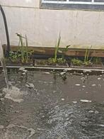 Drijfplanten+drijf platforms