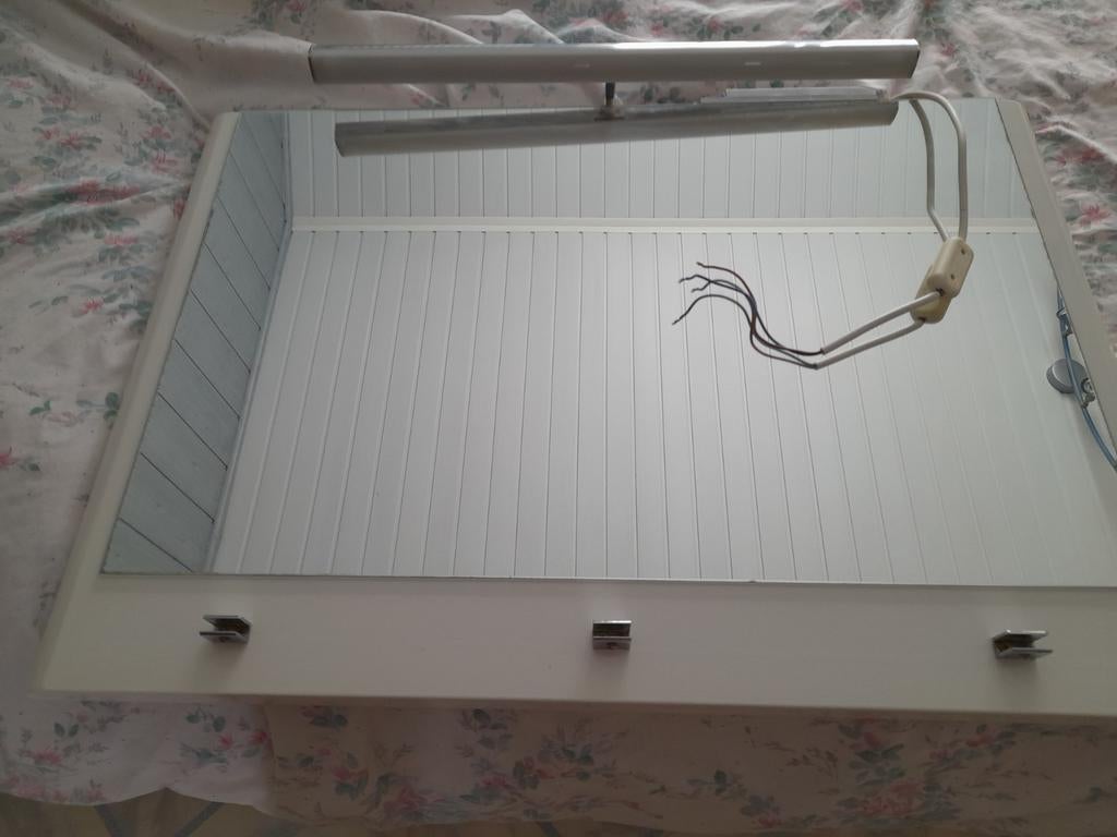 Miroir salle de bain, Maison & Meubles, Accessoires pour la Maison | Miroirs, Enlèvement