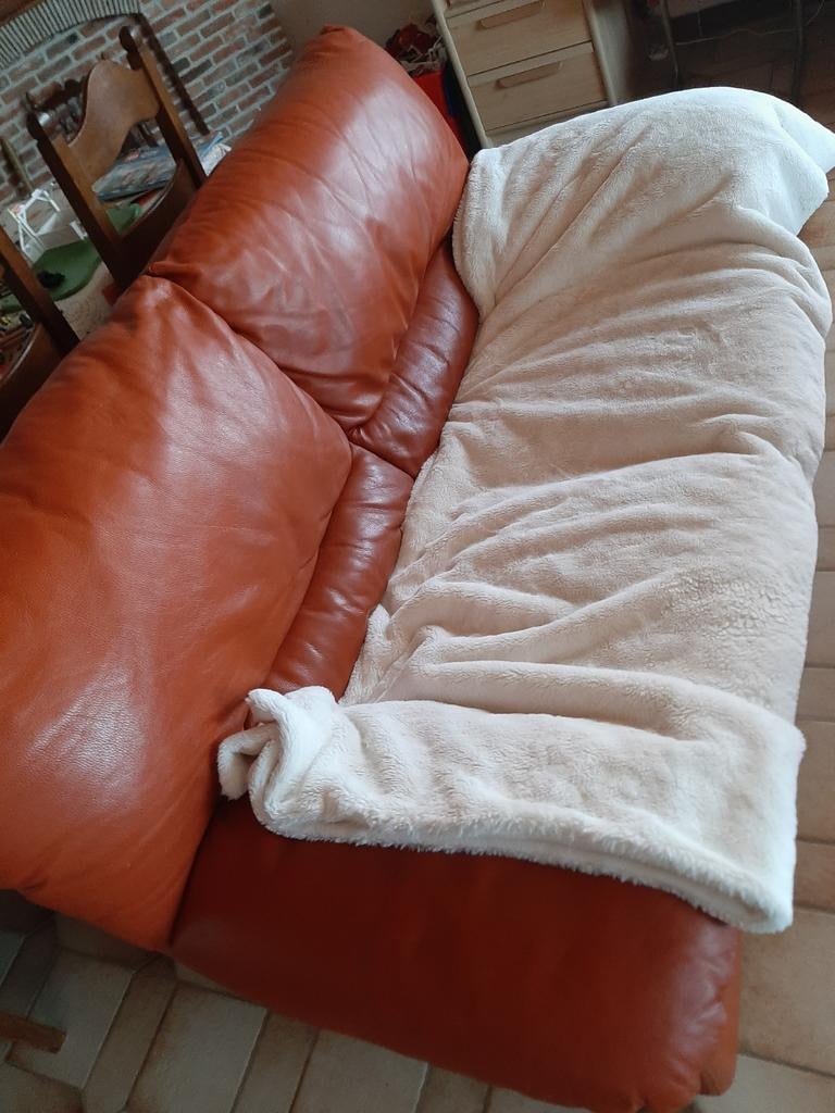 Gratis lederen 2-zit, Huis en Inrichting, Zetels | Zetels, Ophalen