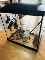 Aquarium 25 l, Animaux & Accessoires, Enlèvement, Comme neuf