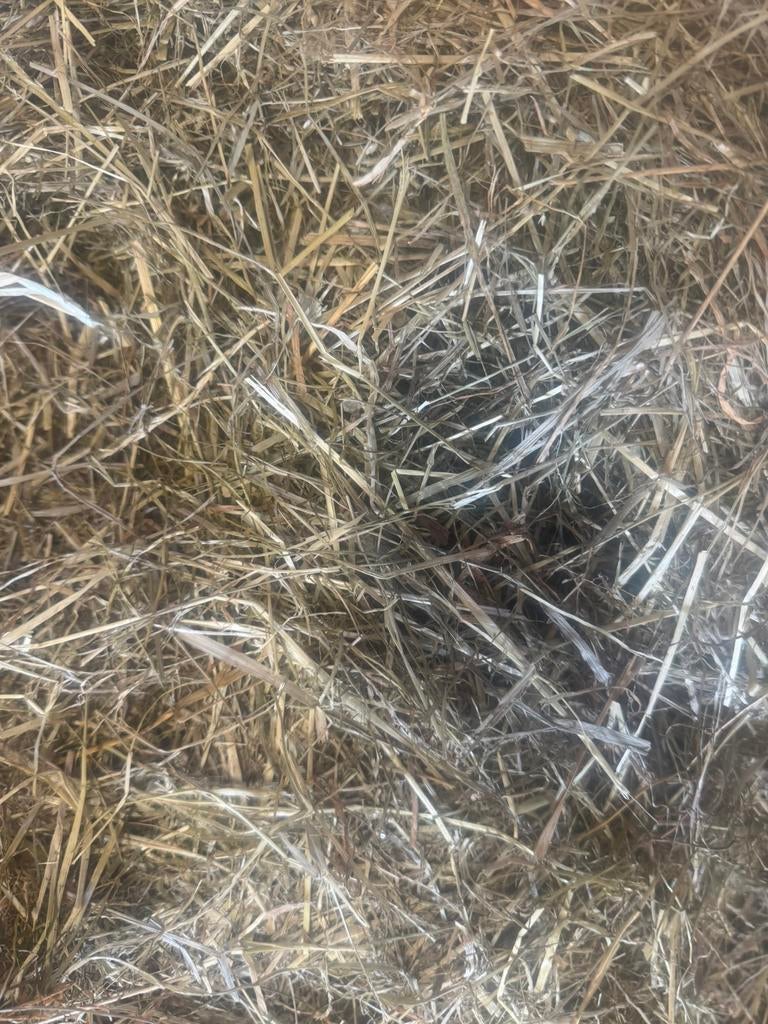 Hooi te koop. Geschik voor paarden!, Dieren en Toebehoren, Ophalen