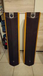 Focal-luidspreker, Ophalen