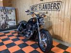 Harley-Davidson SPORTSTER XL 1200 C 110 th ANNIVERSARY, Motoren, Motoren | Harley-Davidson, Bedrijf, Overig, 1200 cc, 11 kW of minder
