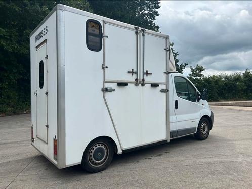 Paarden camionnette Renault voor B Rijbewijs, Dieren en Toebehoren, Paarden en Pony's | Trailers en Aanhangwagens, Gebruikt, Ophalen