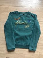 Groene sweater La Meilleure Brian & Nephew, Trui of Vest, Jongen of Meisje, Gebruikt, Brian & Nephew