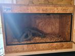 Terrarium in osb, Dieren en Toebehoren, Ophalen, Zo goed als nieuw, Terrarium of Paludarium