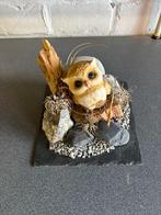 Decoratie, Enlèvement, Utilisé