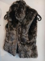 Bodypelsje jbc maat 34, Kleding | Dames, Ophalen, Maat 34 (XS) of kleiner