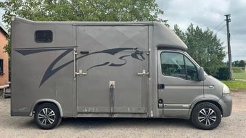 Permis de conduire Horse Van B, Enlèvement, Utilisé