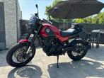 Benelli Leoncino 500 Trail, Motos, Naked bike, Particulier