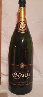 Champagnefles Jeroboam 300cl(leeg) + kist Champagne Mailly, Ophalen, Gebruikt, Frankrijk, Champagne