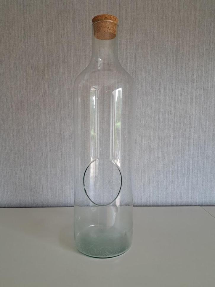 Bouteille à plantes en verre avec bouchon et ouverture, Maison & Meubles, Plantes d'intérieur, Autres espèces, Moins de 100 cm