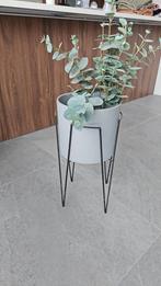 Moderne bloempot met plastieke plant, Tuin en Terras, Ophalen