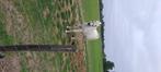 Arabier ruin, Dieren en Toebehoren, Paarden, Ruin, Minder dan 160 cm, Gechipt