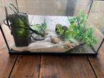 Aquarium met accesoires, Dieren en Toebehoren, Ophalen, Gebruikt, Sierelement
